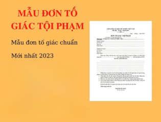 Mẫu đơn tố giác tội phạm mới nhất 2025 – Hướng dẫn cách viết đúng chuẩn pháp luật Việt Nam