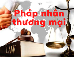 Thủ tục tố tụng truy cứu trách nhiệm hình sự pháp nhân thương mại như thế nào?